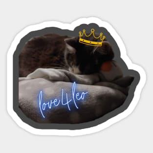 Love4Leo Sticker